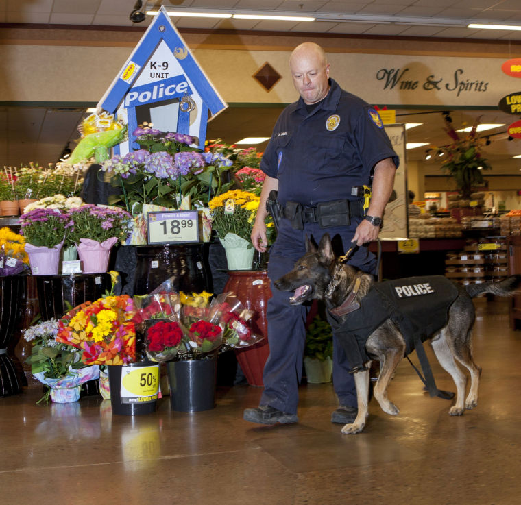 K9 vests